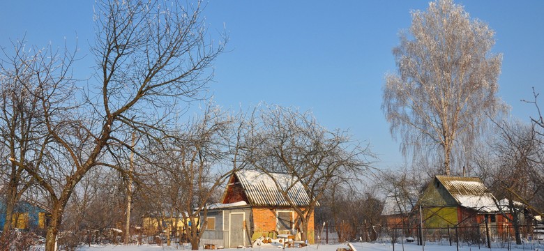 Mieszkasz na działce? Stracisz ją, zostaniesz eksmitowany. RPO alarmuje