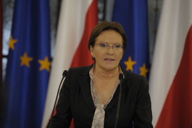 Kopacz: Platforma za utrzymaniem praw działkowców