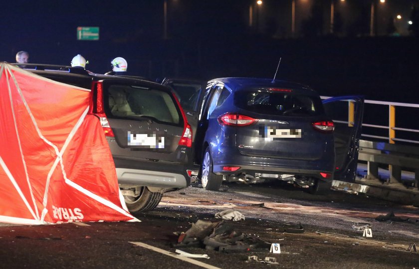 Troje dzieci zginęło pod Mszczonowem. Nowe fakty