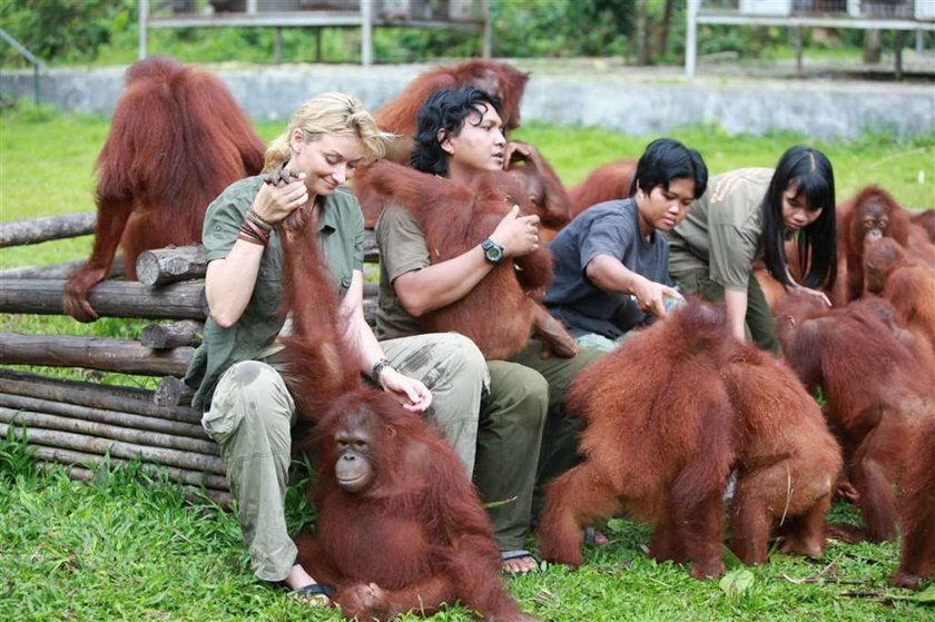 Wojciechowska zaraziła się od orangutana. Czym?