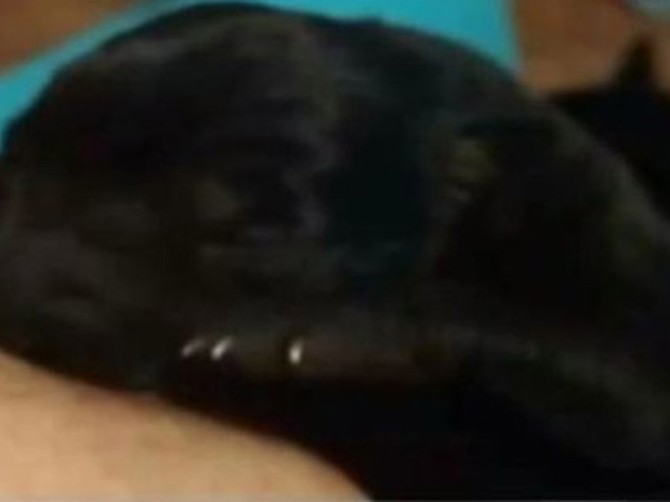 51204_pas-foto-print-screen-cnn