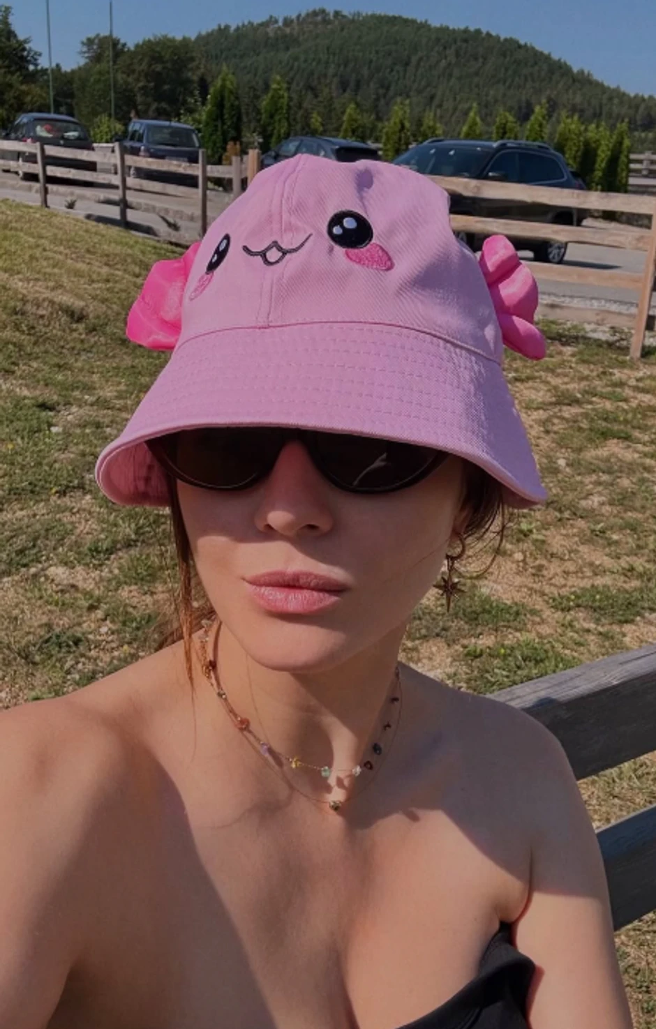 Nina Janković, objava