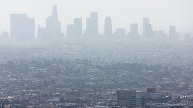 Szokująca zbrodnia w Los Angeles. Przyczyną miało być zaćmienie Słońca