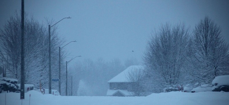 Ostra zima nie odpuszcza. Śnieżyce zasypią drogi, będzie siarczysty mróz. IMGW podaje datę kryzysu