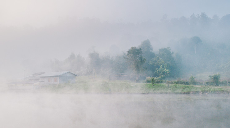 Az ország nagy részén sűrű ködre figyelmeztetnek /Fotó: