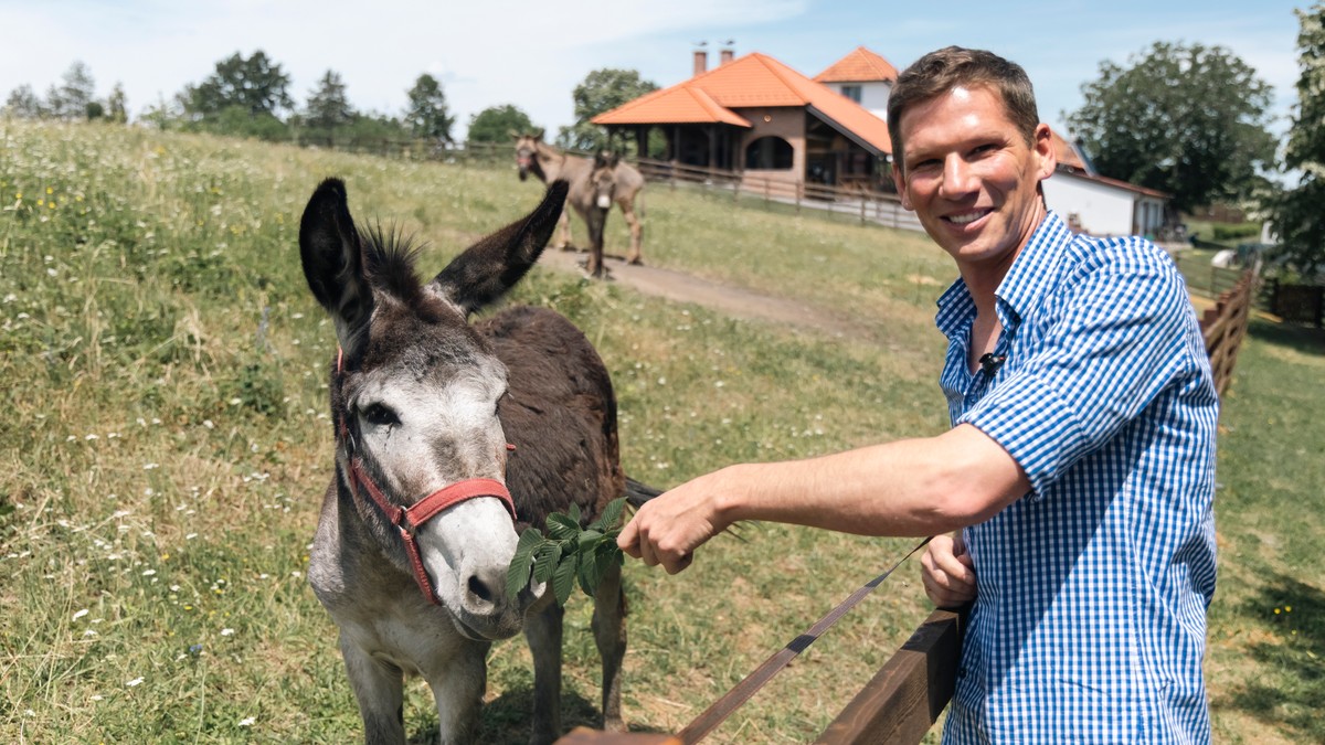 Švajcarac došao u selo kod Valjeva
