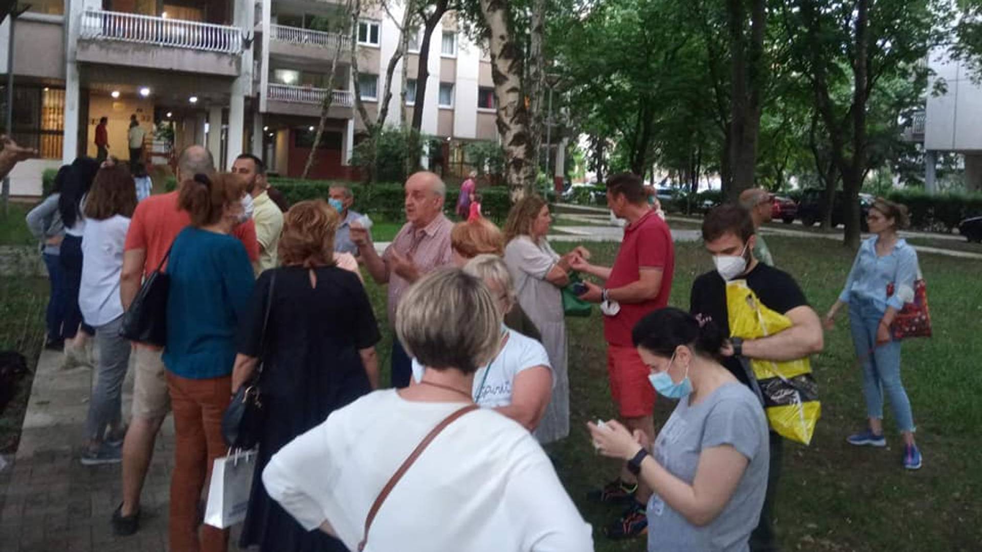 Na Dorćolu žele da poseku stabla kako bi napravili dvosmernu ulicu, stanari Solunske: Telima ćemo braniti drveće ako treba