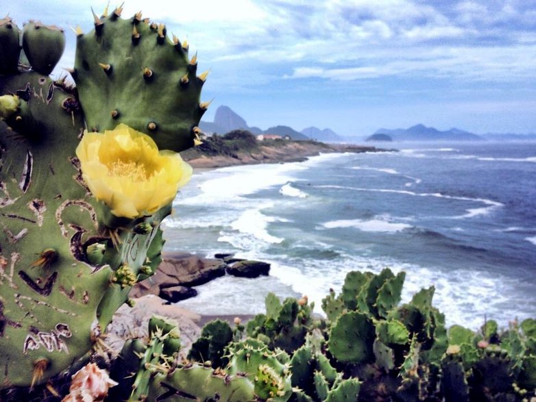 Pedra do Arpoador w Rio