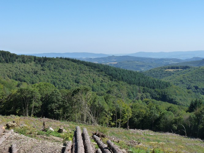 Morvan – pasmo górskie we Francji w regionie Burgundii, znajdujące się na pograniczu czterech departamentów: Nièvre, Yonne, Côte-d'Or i Saône-et-Loire na północny wschód Masywu Centralnego[1]. Góry należące do pasma Morvan zbudowane głównie z granitu oraz bazaltu powstałego podczas orogenezy hercyńskiej. W okresie orogenezy alpejskiej uległy rozpadowi na swoich pograniczach, stwarzając obniżenia z trzech stron, przechodząc w wapienne płaskowyże.
