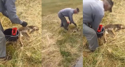 Wlókł zakrwawionego psa na łańcuchu za rowerem. Zapadł wyrok w sprawie