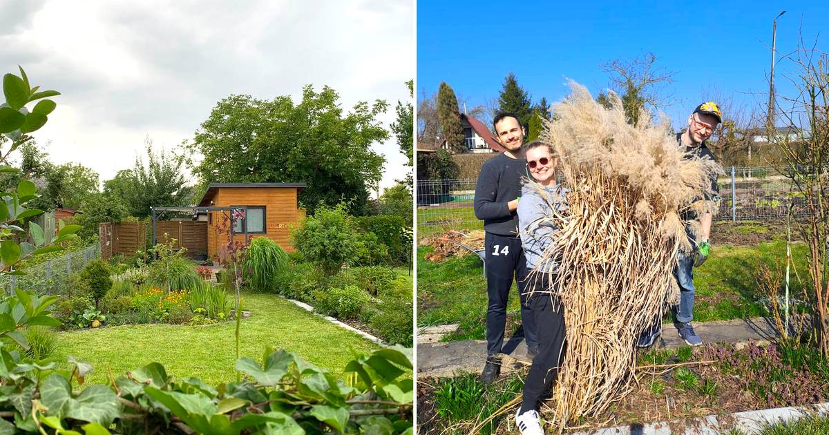 Kupili działkę ROD za 11 tys. zł. Sąsiedzi zza płotu mówili "stop"