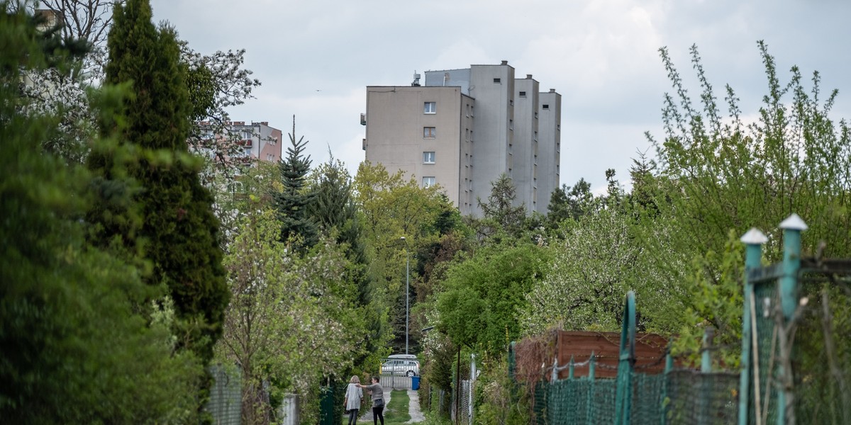 Działki miałyby zostać zastąpione parkiem.