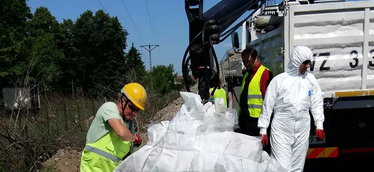 Takie rzeczy na budowie drogi to prawdziwa rzadkość. Potrzebny był myrmekolog