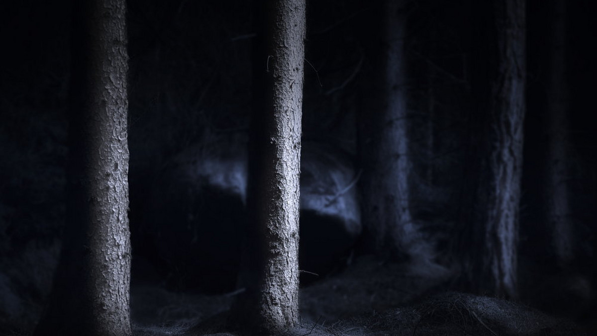 Tom Buckmaster, badacz paranormalnych zjawisk uchwycił na filmie tajemnicze światło. Nagranie wzbudziło sensację, bo powstało w lesie w Staffordshire. Tam, gdzie straszą podobno czarnookie dzieci...