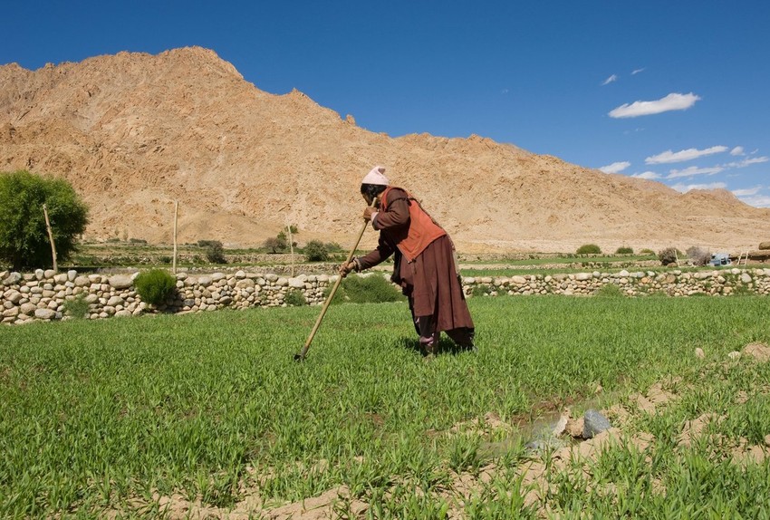 Ilustracija: selo u Himalajima