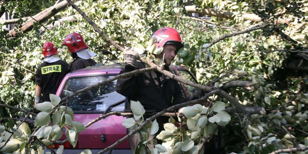 Ciężarna kobieta przygnieciona przez drzewo