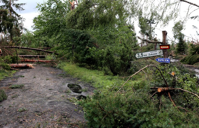 Śmierć harcerek. Jest śledztwo i kontrole obozów