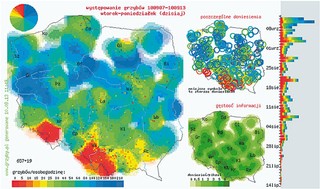 Mapa grzybiarzy: zanim wybierzesz się do lasu, sprawdź, gdzie obrodziły prawdziwki i podgrzybki