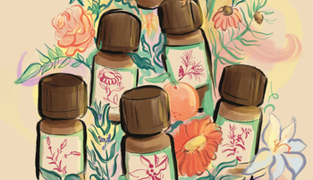 Az illóolajok titkos szuperképességei, amiket még a nagymamáink sem ismernek