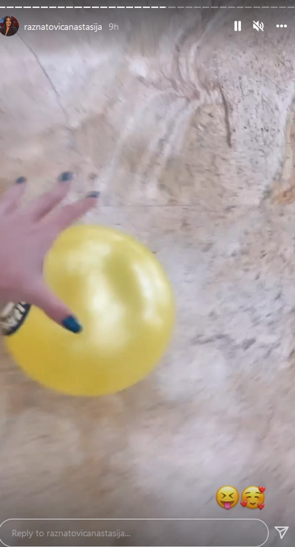 Željko Ražnatović 