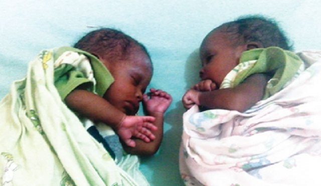 A set of twins (Illustration) 