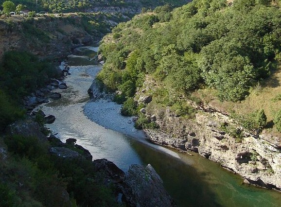 Morača