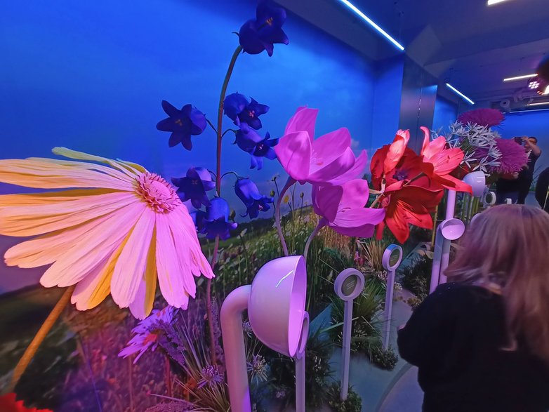 Polsko-Czeskie Interaktywne Muzeum Ziemi Kłodzkiej w Kudowie-Zdroju