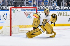 Fleury trzecim bramkarzem w historii NHL, który wygrał 500 meczów