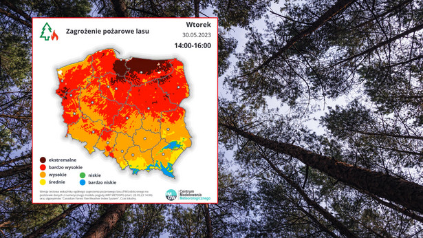 Mapa zagrożenia pożarowego lasu