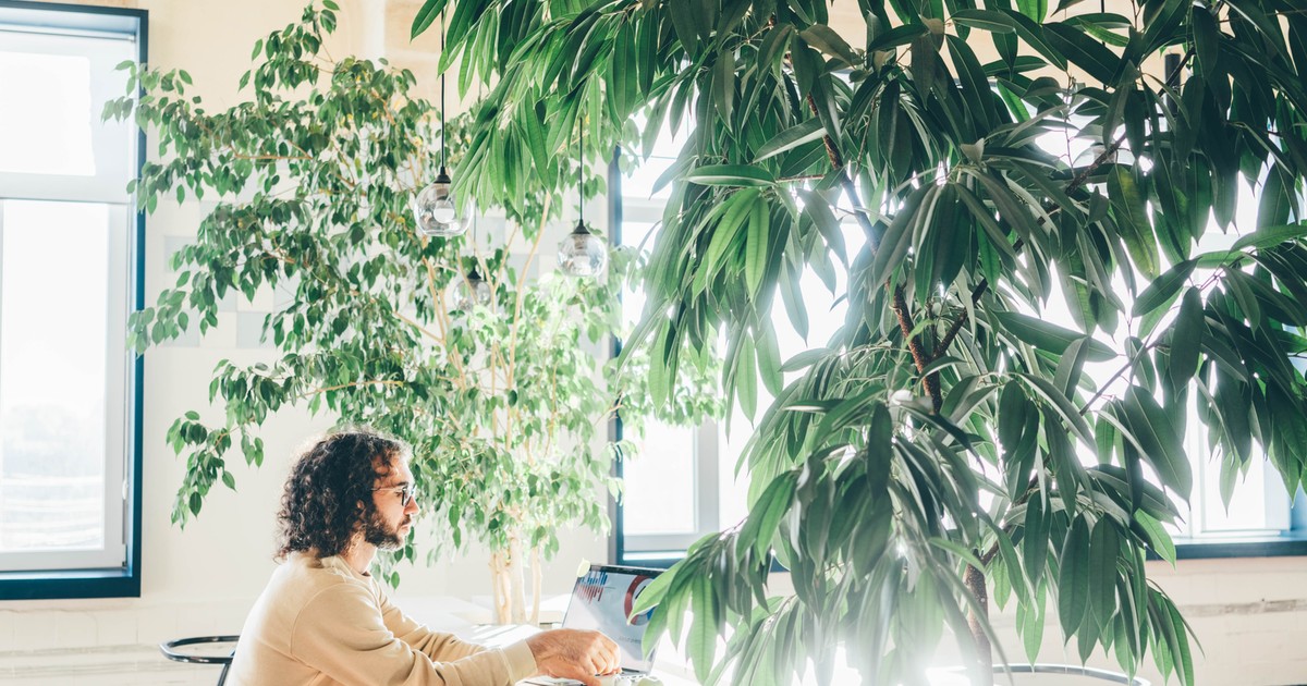 Biuro przyszłości: przemyślane, zielone i… puste?