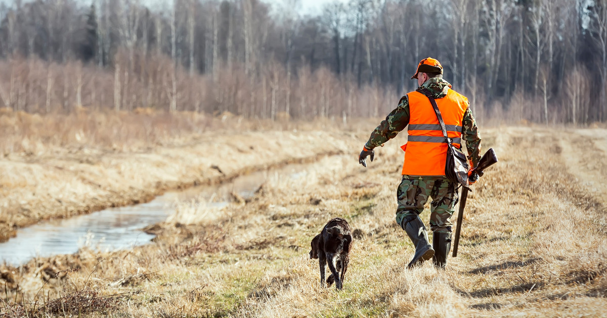 Eine Revolution in der Jagd?  Es wird Änderungen in der Jagdgesetzgebung geben