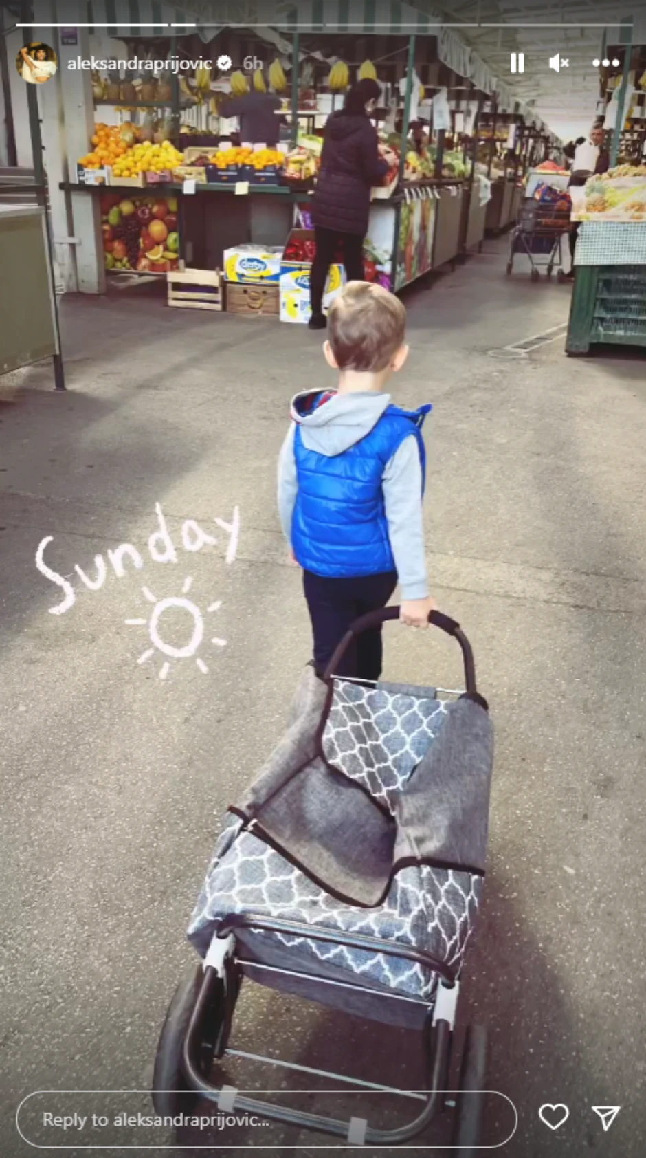 Aleksandra Prijović 