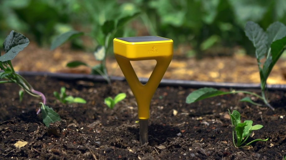 Edyn's Garden Sensor brings big data to gardening with real-time tracking of soil conditions, weather, and sunlight. It alerts users via a smartphone app to the state of their crops and can make recommendations about where to make changes.