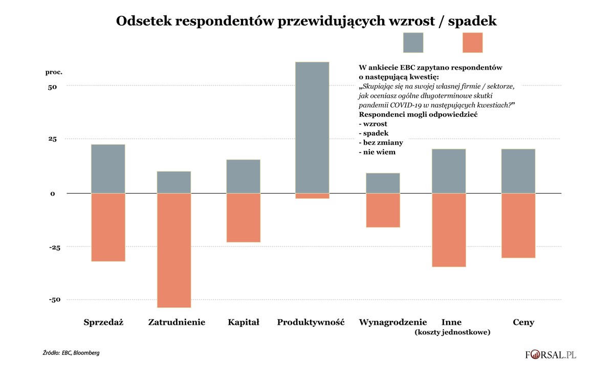 Długotrwałe skutki pandemii - ankieta EBC