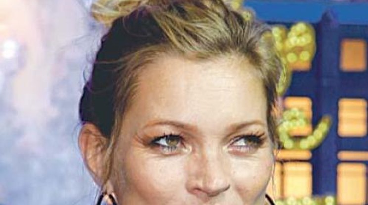 Helikopterrel érkezett egy buliba Kate Moss