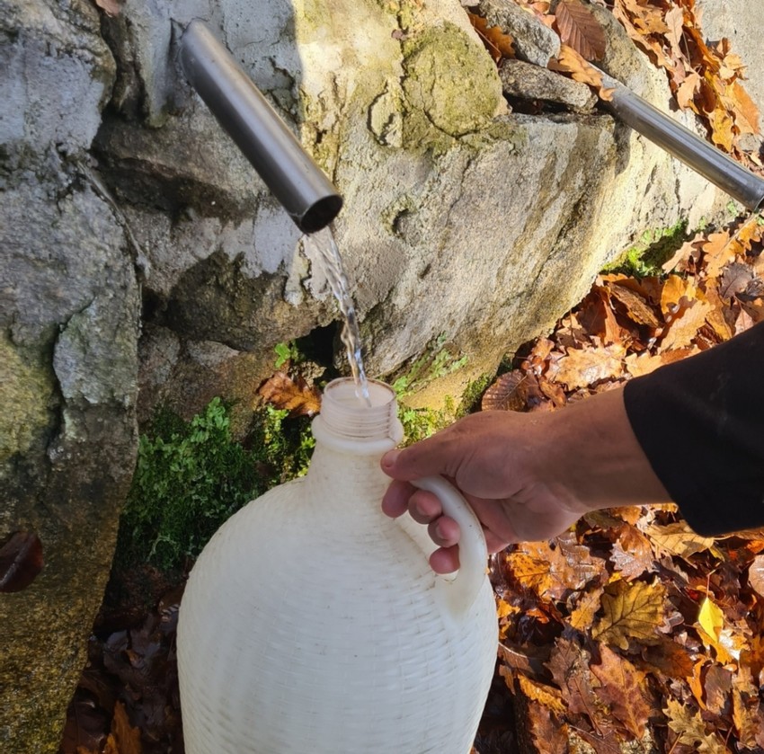 Lekoviti izvor na padinama planine Čemerno
