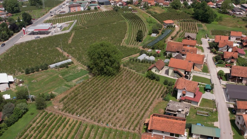 Ariljski kraj poznat je po malini