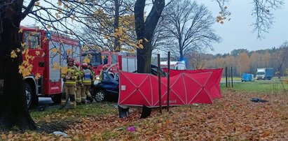 Straszna śmierć 20-latka na Opolszczyźnie. Drzewo wbiło się do auta