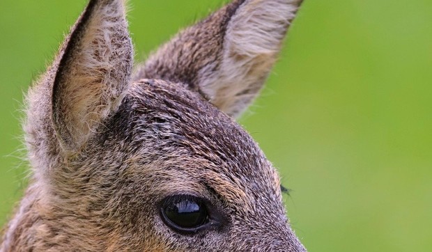 540707_profimedia0191646959