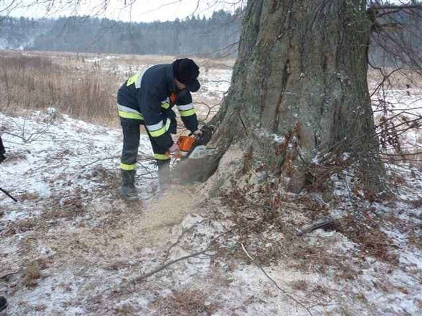 Uratowali szczeniaki