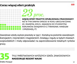 Pół roku praktyk na studiach