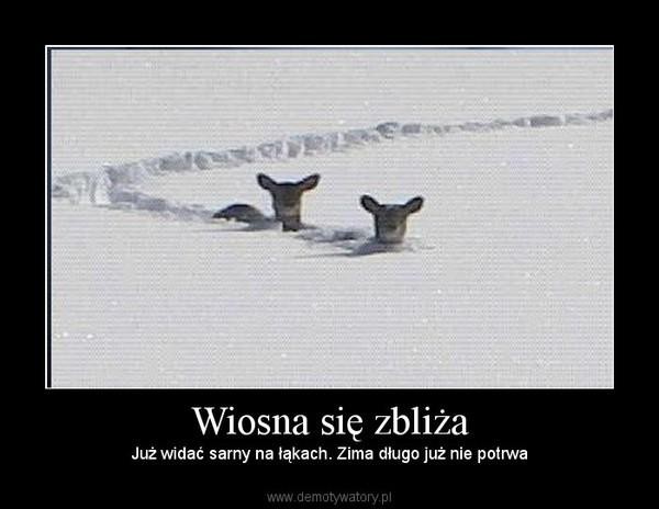 Internet przegania zimę dowcipem