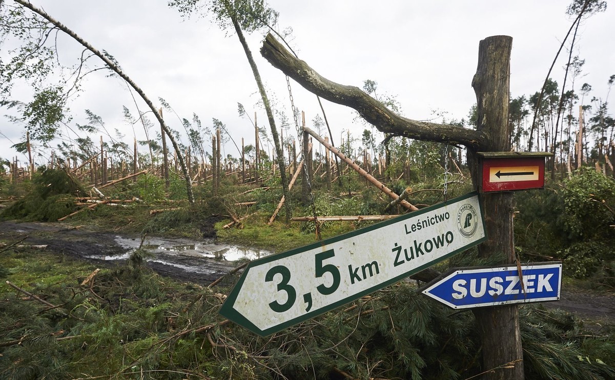 Podczas wichury w Suszku zginęły dwie harcerki
