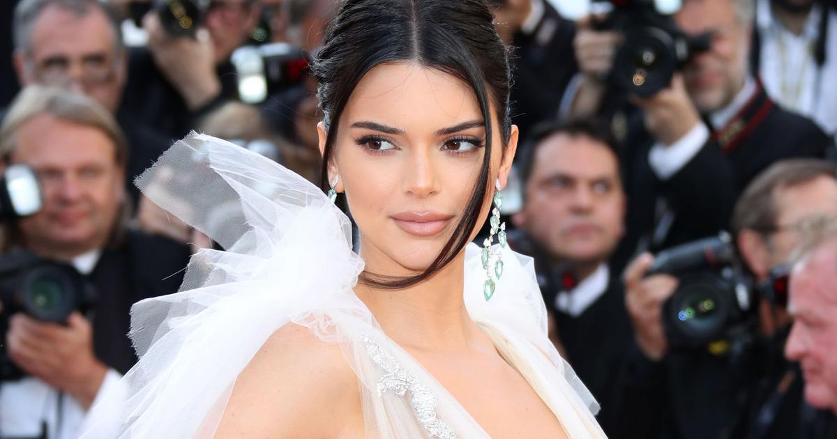 Kendall Jenner Posed A Photo Of Her New Pet Snake As A Hair Accessory ...