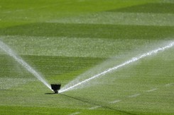 Problem z murawą na stadionie w Sewilli przed meczem Polaków