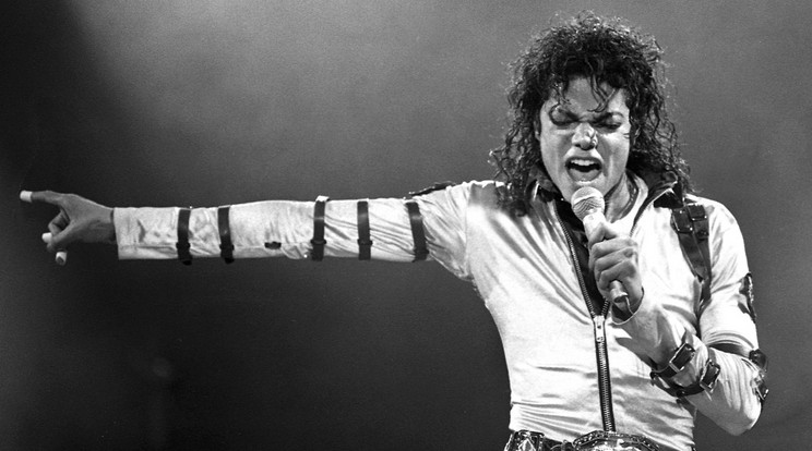 Michael
Jackson 
a könyv szerint hatalmas 
libidóval 
rendelkezett/Fotó: Profimedia-Reddot