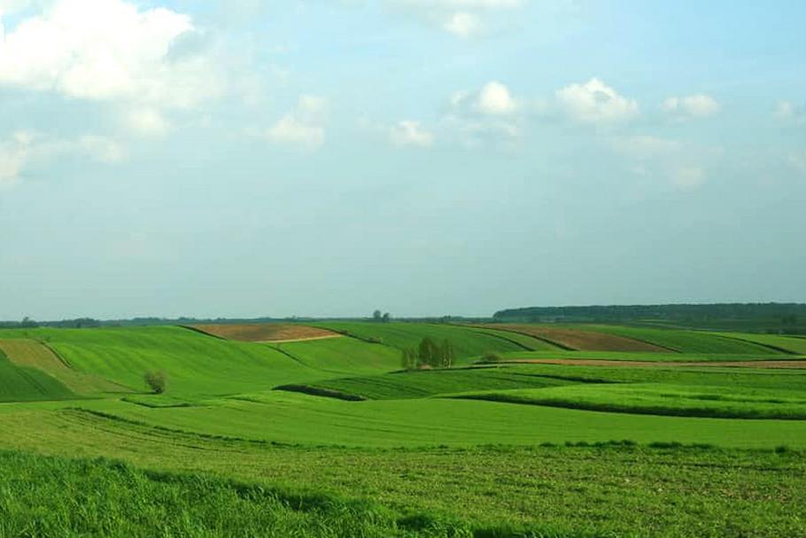 W sektorze rolnym w Polsce pracuje niemal 1,5 miliona ludzi