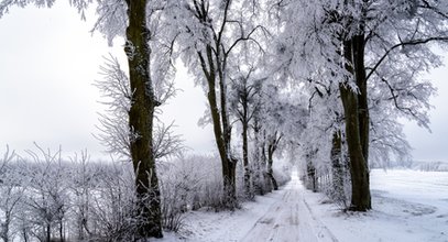 Prognoza pogody na sobotę dla Łodzi. Powiało zimą