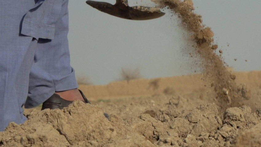 Mnogi zemljoradnici su se povinovali zabrani uzgoja maka, uprkos teškim uslovima i činjenici da je mak relativno otporan na sušu | Foto: BBC