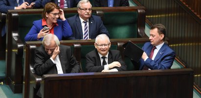 PiS zaciera ręce. Te liczby mówią wszystko